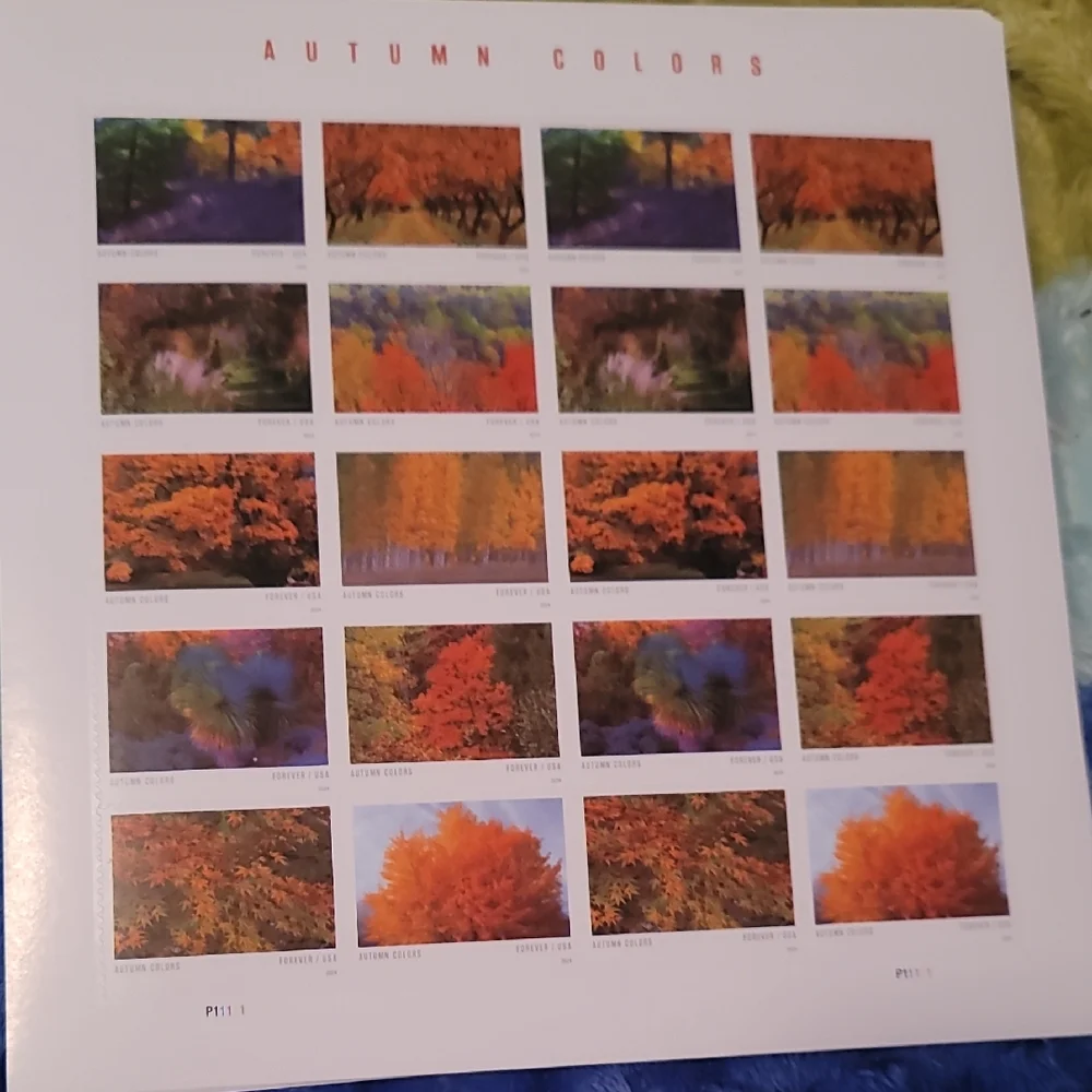 100‎ USPS Autumn Colors 2024 First-Class Mail Forever Postage Stamps